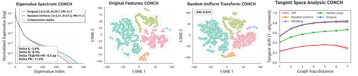 Feature geometric analysis